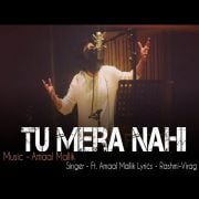 Tu Mera Nahi song download