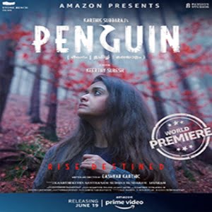 Penguin songs download