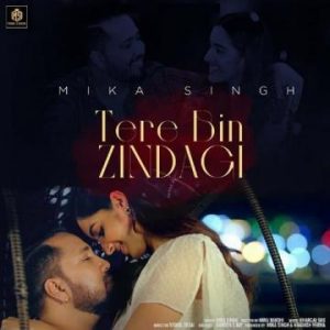 Tere Bin Zindagi song download