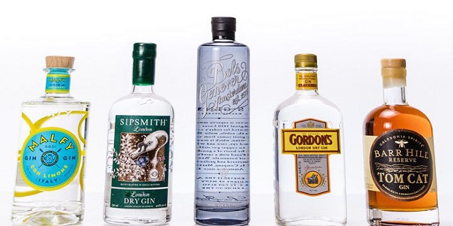 Different types of Gin