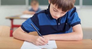 Everything You Need to Know Actually About the NAPLAN Exams