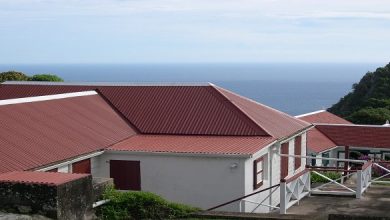 What Are the Latest Trends in Roofing Colors?